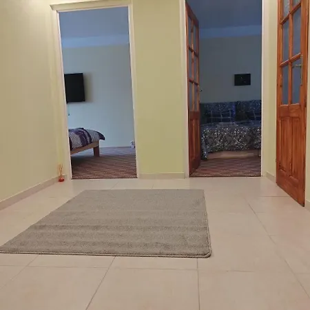 Vasek